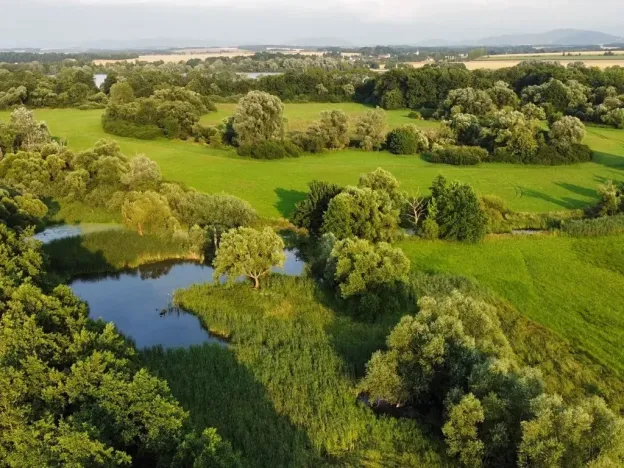 Dražba louky, Pustějov, 9886 m2