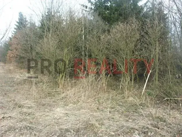 Prodej lesa, Tísek, 4998 m2