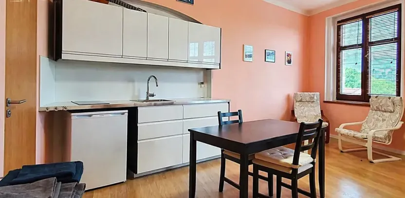 Pronájem bytu 1+kk, Praha - Libeň, Davídkova, 27 m2