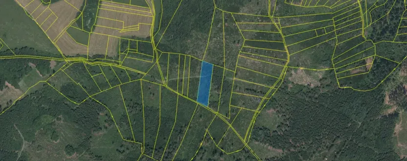 Prodej lesa, Kolinec - Buršice, 5195 m2