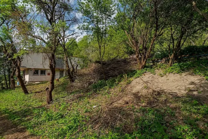 Prodej pozemku pro bydlení, Veliny, 1652 m2