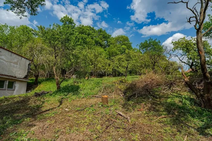 Prodej pozemku pro bydlení, Veliny, 1652 m2