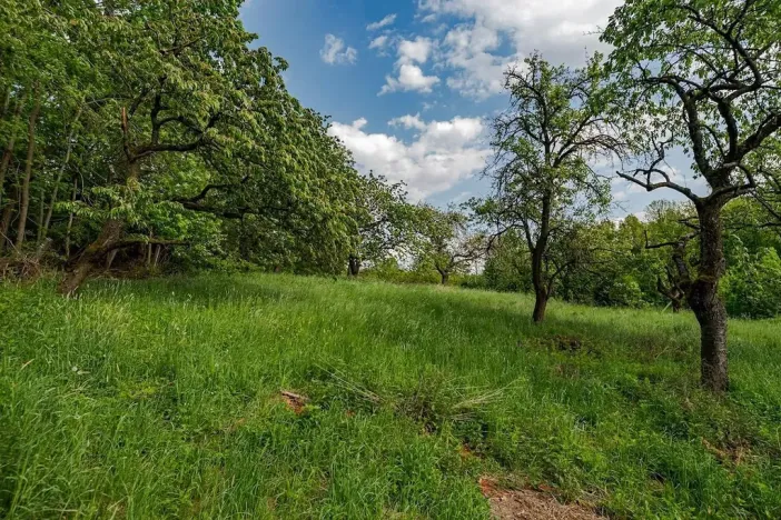 Prodej pozemku pro bydlení, Veliny, 1652 m2