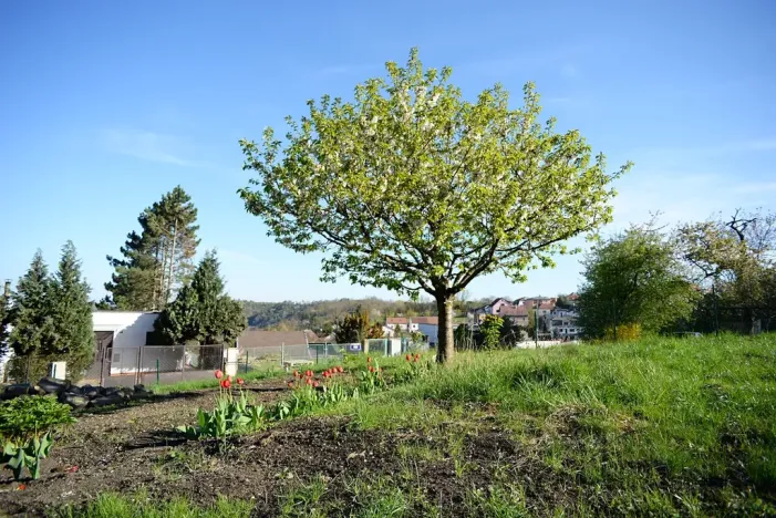 Prodej pozemku pro bydlení, Větrušice, Úzká, 810 m2