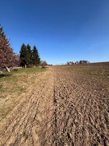 Prodej pozemku pro bydlení, Velká Bukovina, 2530 m2