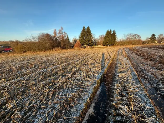 Prodej pozemku pro bydlení, Velká Bukovina, 2530 m2