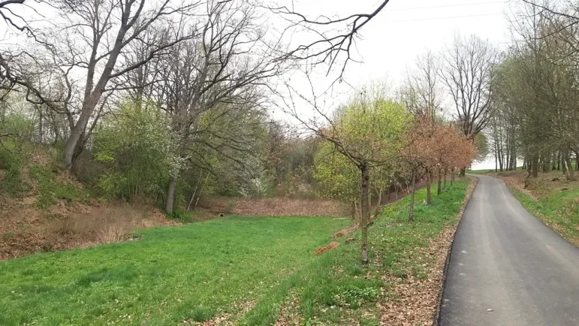 Prodej louky, Bludov, 2277 m2