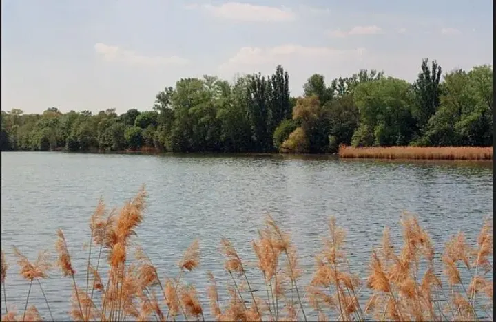 Prodej pozemku, Vlkava, 5955 m2