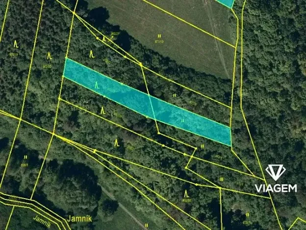 Prodej lesa, Těškovice, 1309 m2