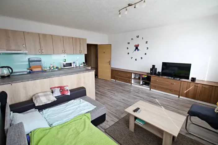 Prodej bytu 1+kk, Planá, Bohušova, 30 m2