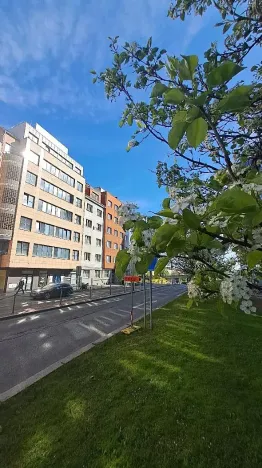 Prodej bytu 1+1, Praha - Nusle, Hvězdova, 49 m2