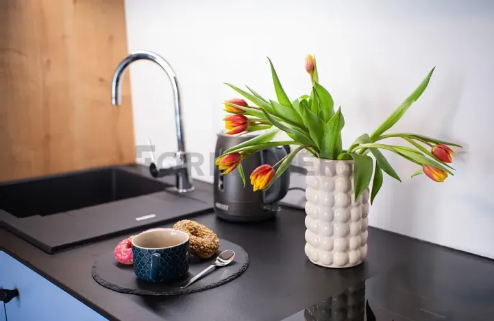 Pronájem bytu 1+kk, Olomouc, Edmunda Husserla, 27 m2