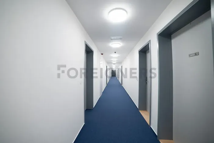 Pronájem bytu 1+kk, Olomouc, Edmunda Husserla, 27 m2