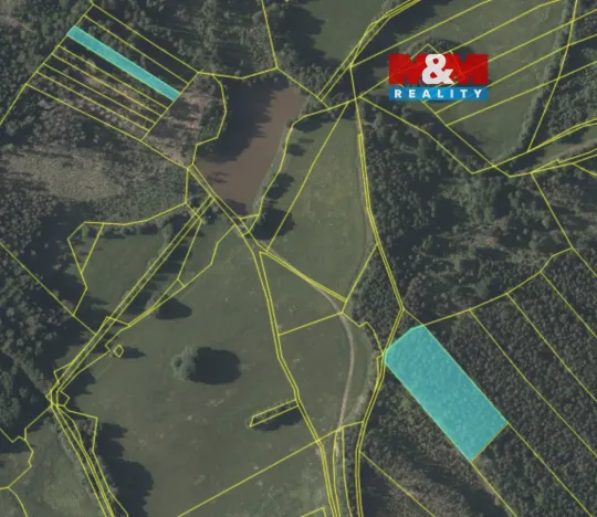 Prodej lesa, Mrákotín, 7873 m2