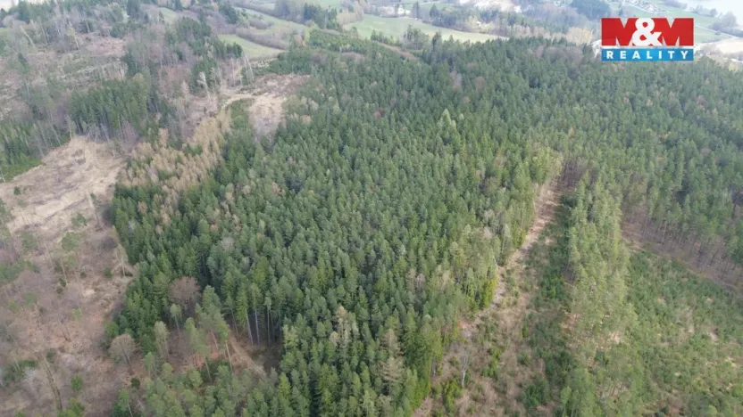 Prodej lesa, Mrákotín, 7873 m2