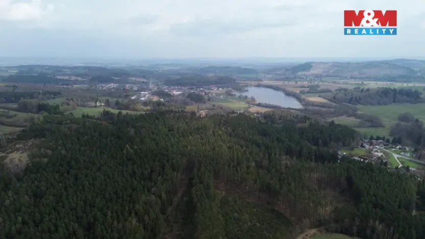 Prodej lesa, Mrákotín, 7873 m2