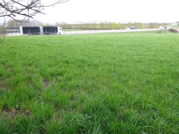 Prodej komerčního pozemku, Stránecká Zhoř - Kochánov, 2295 m2