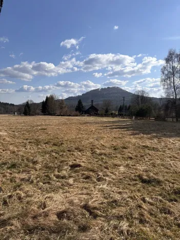 Prodej louky, Cvikov, 35271 m2