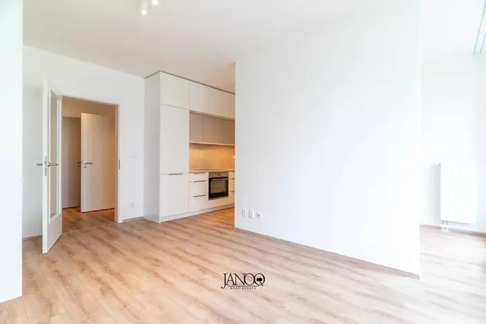 Pronájem bytu 1+1, Brno, Spolková, 38 m2