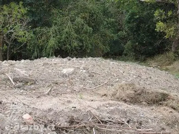 Dražba pozemku, Žatec, 264996 m2