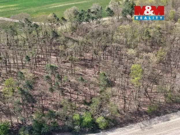 Prodej lesa, Mochov, 4629 m2