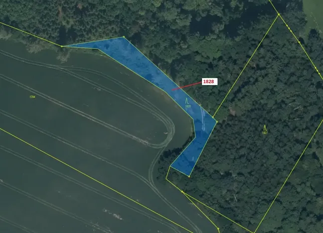 Dražba lesa, Chotýšany, 1841 m2