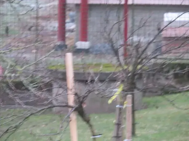 Dražba rodinného domu, Teplýšovice, 563 m2