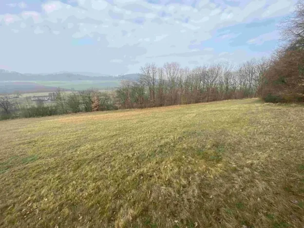 Dražba louky, Linhartice, 9269 m2