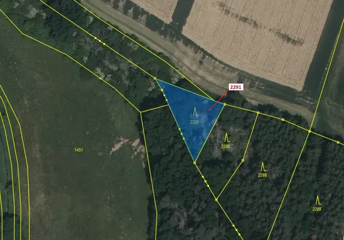 Dražba lesa, Chotěbudice, 529 m2