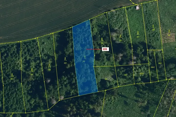 Dražba lesa, Chotěbudice, 2054 m2