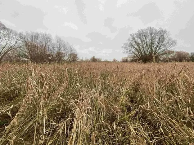 Dražba louky, Křenovice, 4103 m2