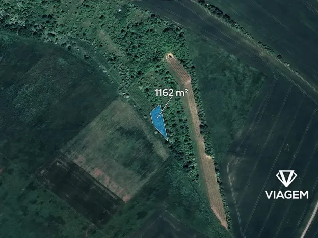 Prodej pole, Velké Němčice, 1162 m2