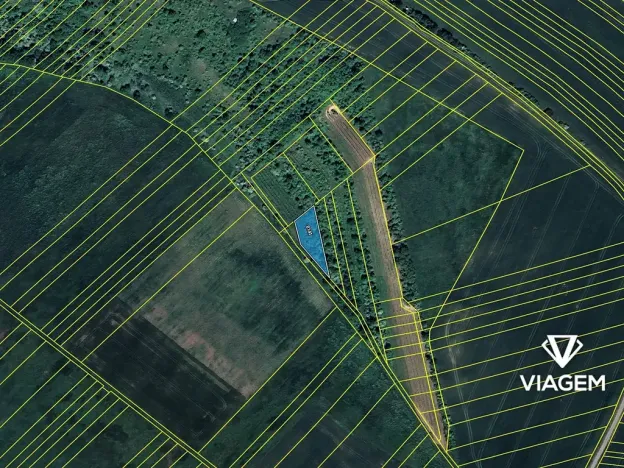 Prodej pole, Velké Němčice, 1162 m2