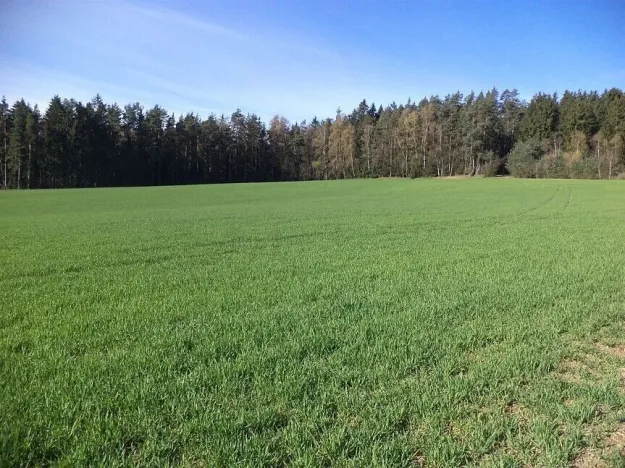 Prodej pole, Okrouhlá Radouň, 17482 m2