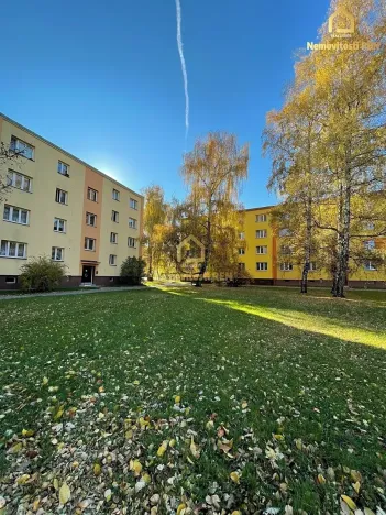 Prodej bytu 2+1, Ostrava, Adamusova, 53 m2