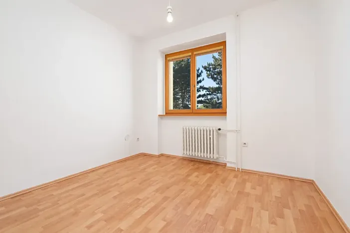 Prodej rodinného domu, Plzeň, Na Hraně, 306 m2