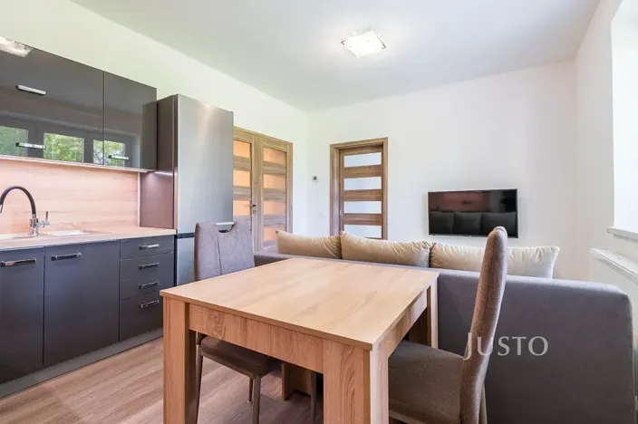 Pronájem bytu 2+kk, Staré Město, Mahenova, 45 m2