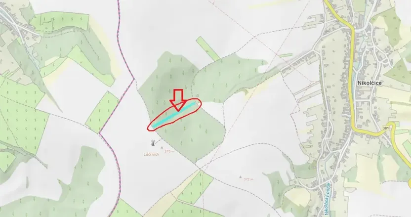 Prodej podílu lesa, Nikolčice, 2475 m2