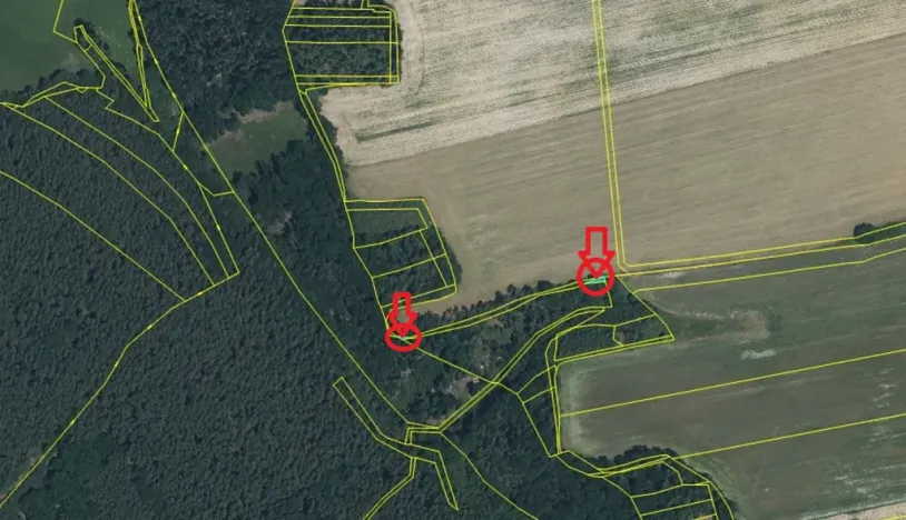 Prodej podílu lesa, Puclice, 12856 m2