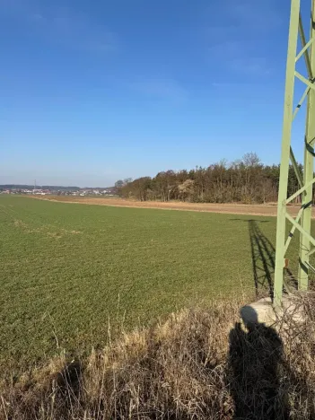 Prodej podílu lesa, Sojovice, 6719 m2