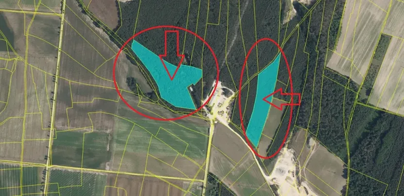 Prodej podílu lesa, Sojovice, 6719 m2