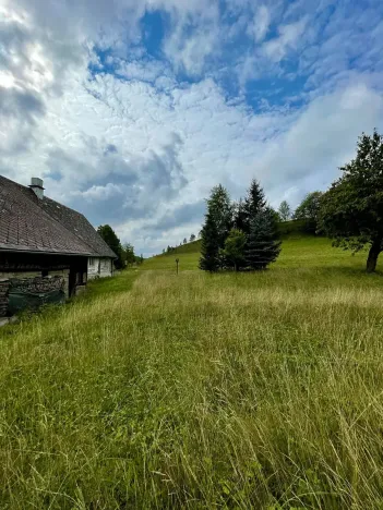 Prodej chalupy, Police nad Metují, 249 m2