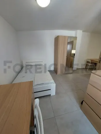 Pronájem bytu 1+kk, Olomouc, Ztracená, 25 m2