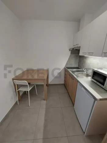 Pronájem bytu 1+kk, Olomouc, Ztracená, 25 m2