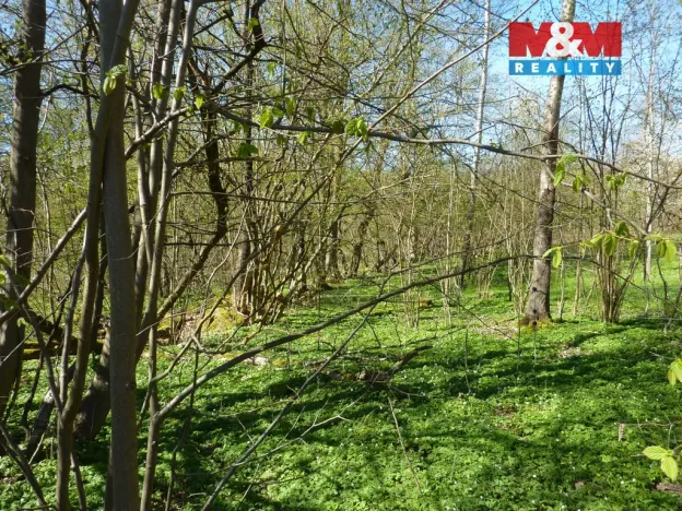 Prodej pozemku pro bydlení, Brzice, 1453 m2