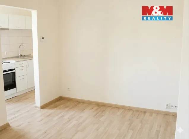 Pronájem bytu 1+kk, Brušperk, Dr. Martínka, 22 m2