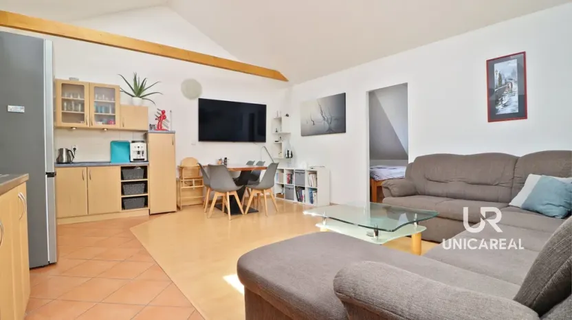 Prodej rodinného domu, Brno - Komín, Hlavní, 558 m2