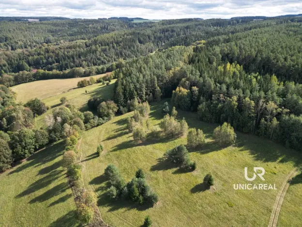 Prodej chaty, Pohledy - Horní Hynčina, 90 m2