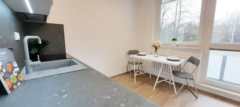 Pronájem bytu 1+1, Brno, Fričova, 46 m2