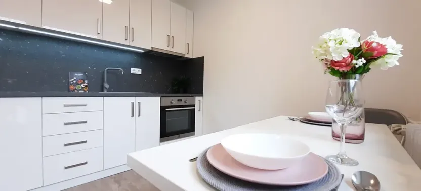 Pronájem bytu 1+1, Brno, Fričova, 46 m2